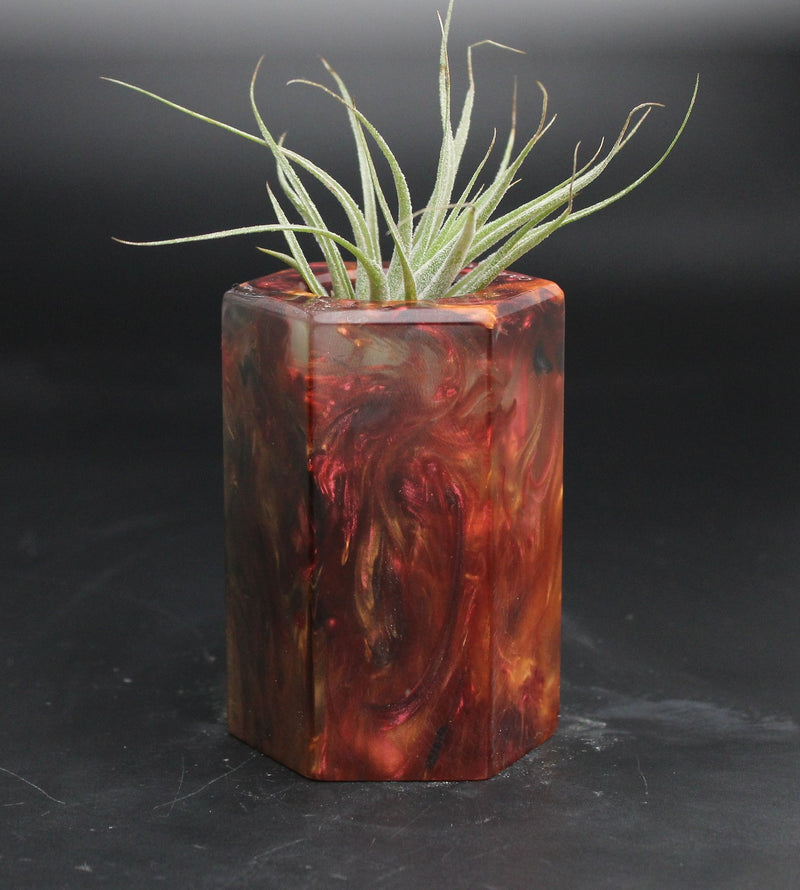 Wood Burl ResinArt Air Plant Holder - Beckett (The Lab, 707644)