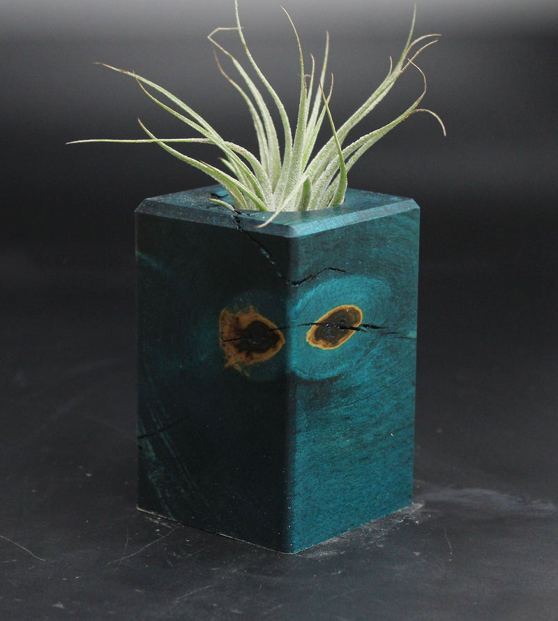 Wood Burl  Air Plant Holder - Leland (Wood Burl, 707645)