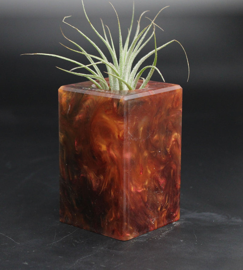 Wood Burl ResinArt Air Plant Holder - Reed (The Lab, 707646)