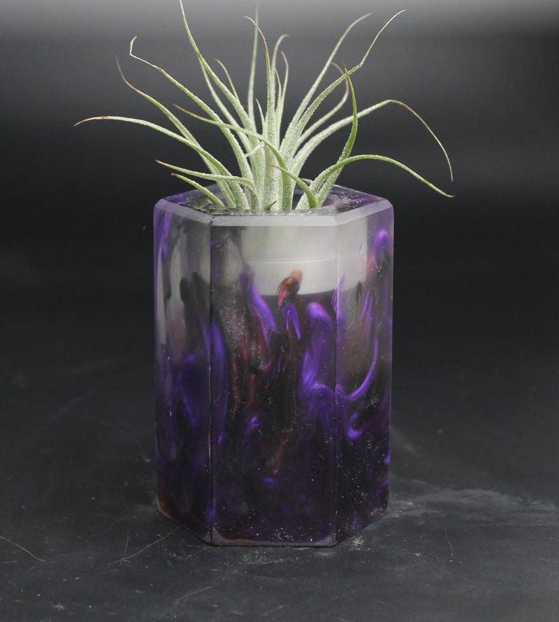 Wood Burl ResinArt Air Plant Holder - Damian (The Lab, 707648)