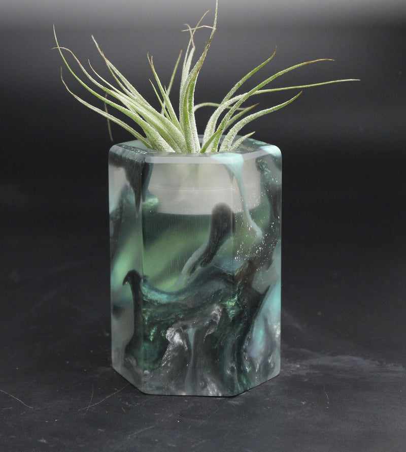 Wood Burl ResinArt Air Plant Holder - Shari (The Lab, 707651)