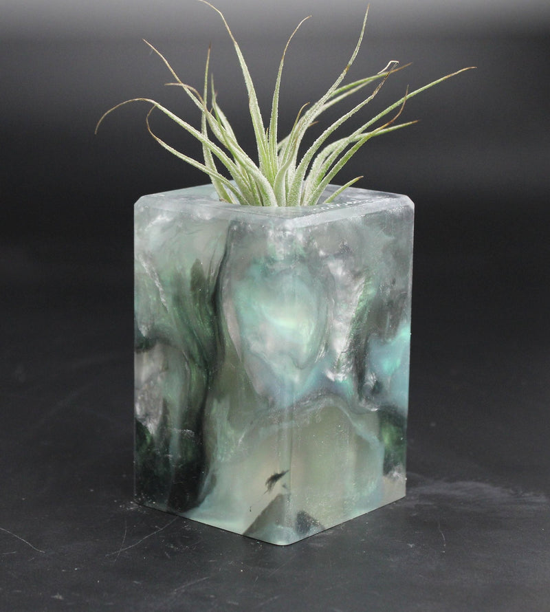 Wood Burl ResinArt Air Plant Holder - Corey (The Lab, 707652)