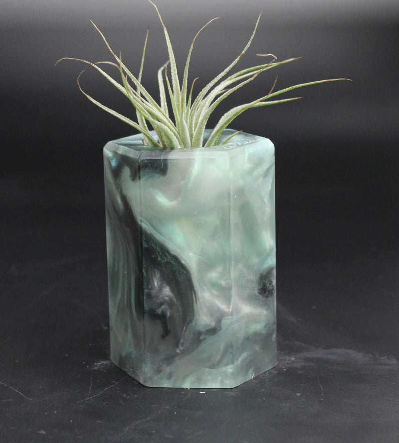Wood Burl ResinArt Air Plant Holder - Henrietta (The Lab, 707653)