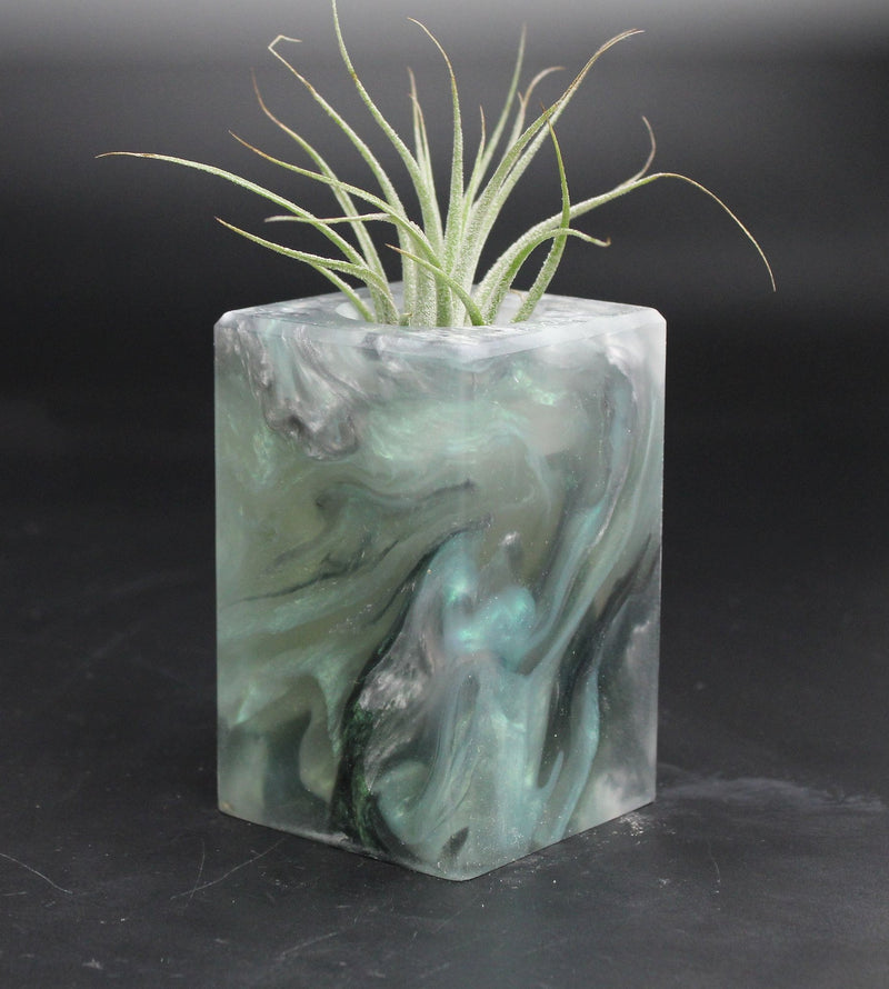 Wood Burl ResinArt Air Plant Holder - Caleb (The Lab, 707658)