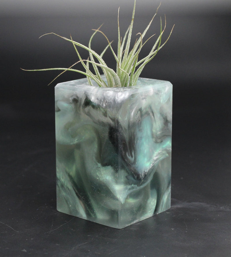 Wood Burl ResinArt Air Plant Holder - Katrina (The Lab, 707669)