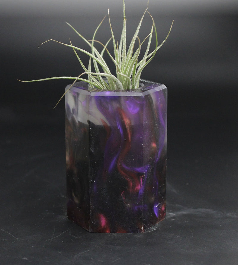 Wood Burl ResinArt Air Plant Holder - Wendy (The Lab, 707670)