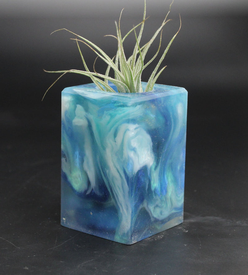 Wood Burl ResinArt Air Plant Holder - Jessie (The Lab, 707671)