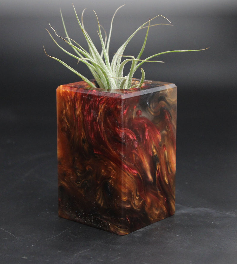 Wood Burl ResinArt Air Plant Holder - Eliana (The Lab, 707673)