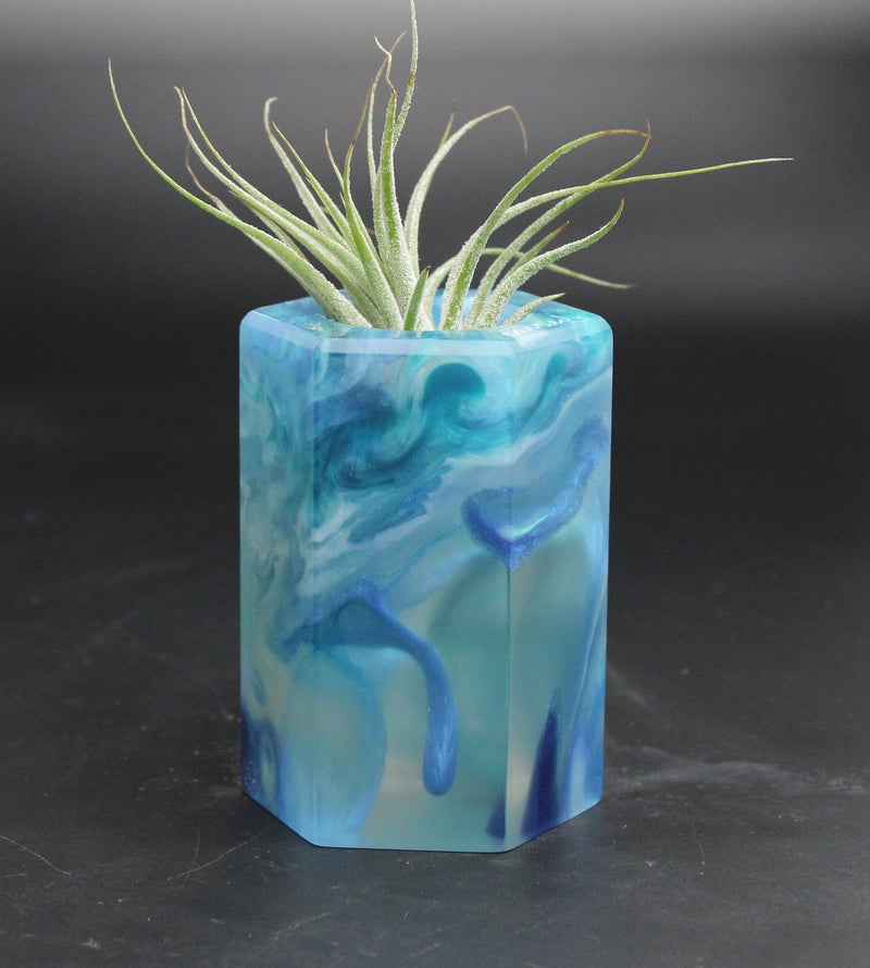 Wood Burl ResinArt Air Plant Holder - Ralph (The Lab, 707674)
