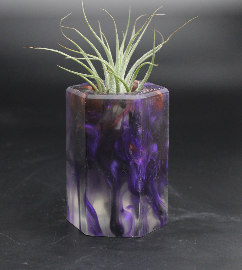 Wood Burl ResinArt Air Plant Holder - Lauryn (The Lab, 707678)