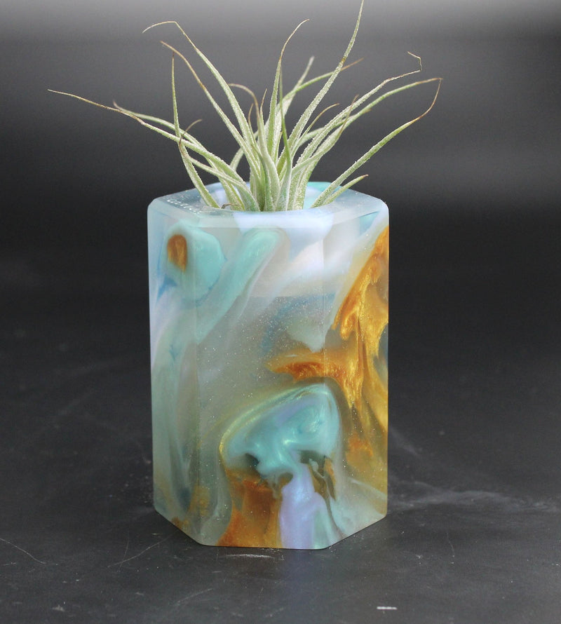 Wood Burl ResinArt Air Plant Holder - Carl (The Lab, 707679)