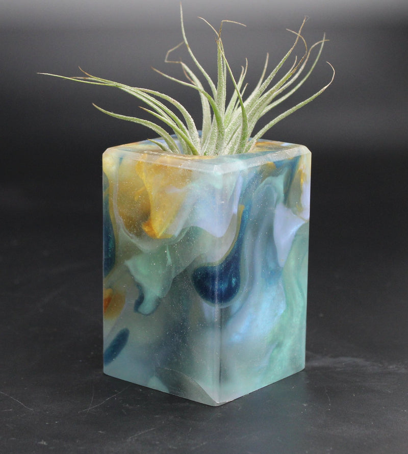Wood Burl ResinArt Air Plant Holder - Rickey (The Lab, 707682)