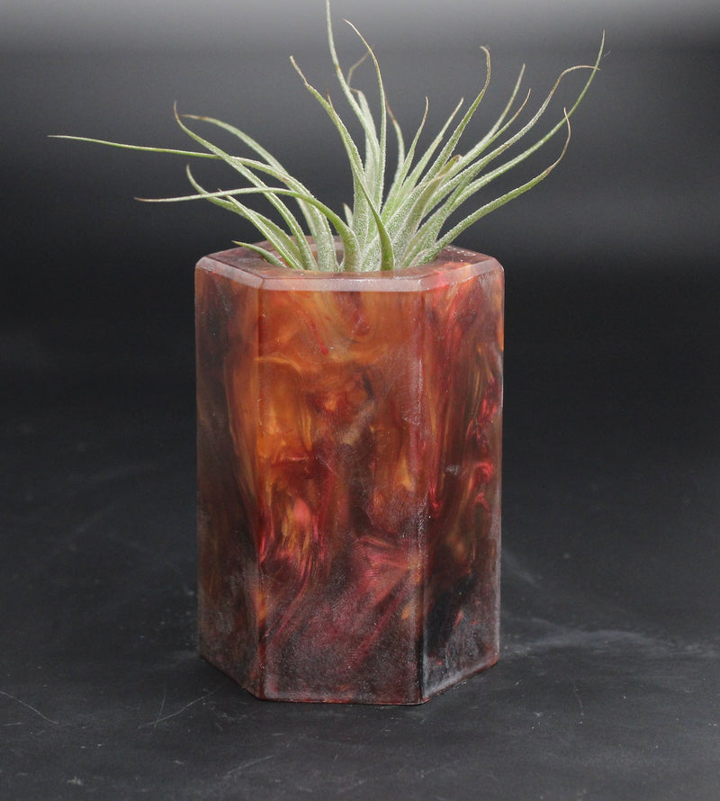 Wood Burl ResinArt Air Plant Holder - Cathleen (The Lab, 707683)
