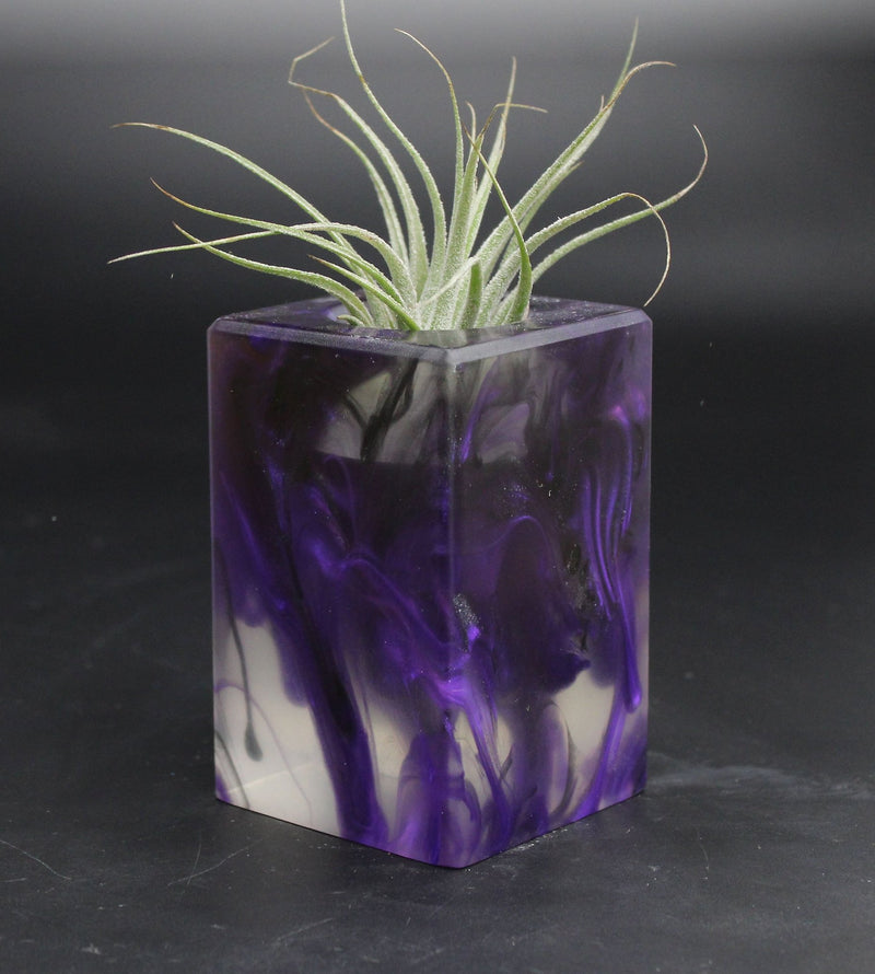 Wood Burl ResinArt Air Plant Holder - Latasha (The Lab, 707684)