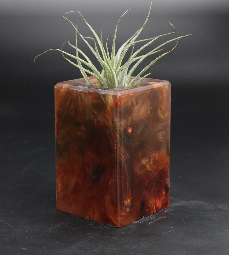 Wood Burl ResinArt Air Plant Holder - Emilio (The Lab, 707686)