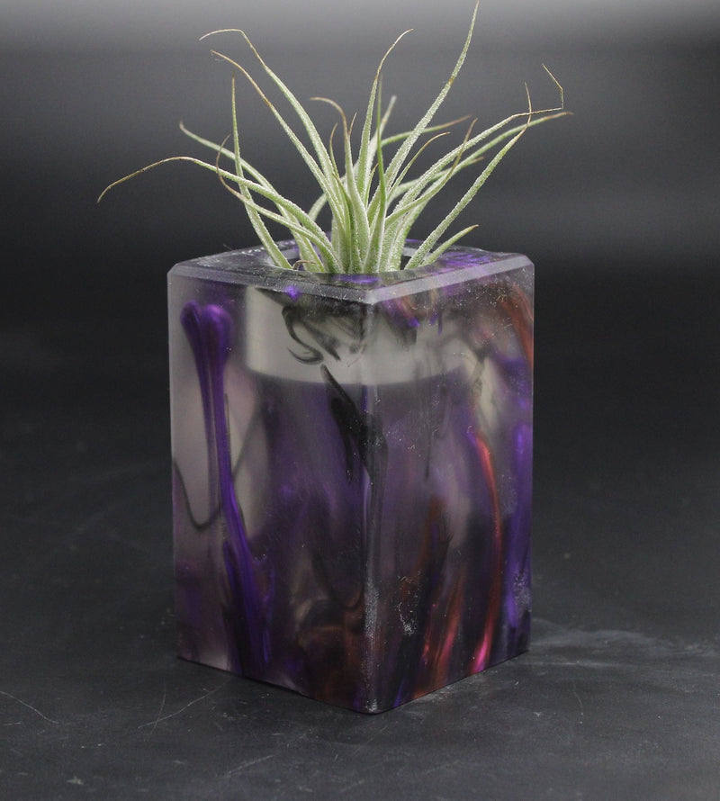 Wood Burl ResinArt Air Plant Holder - Kaydence (The Lab, 707687)