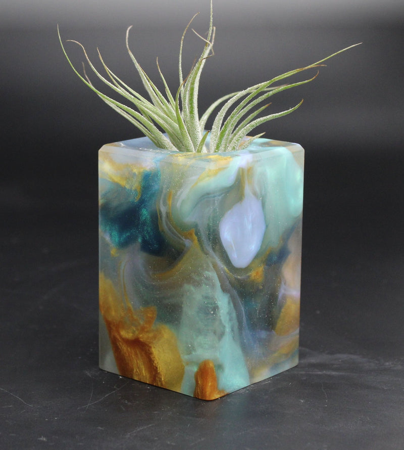 Wood Burl ResinArt Air Plant Holder - Pauline (The Lab, 707689)