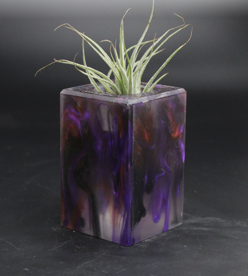 Wood Burl ResinArt Air Plant Holder - Pedro (The Lab, 707690)