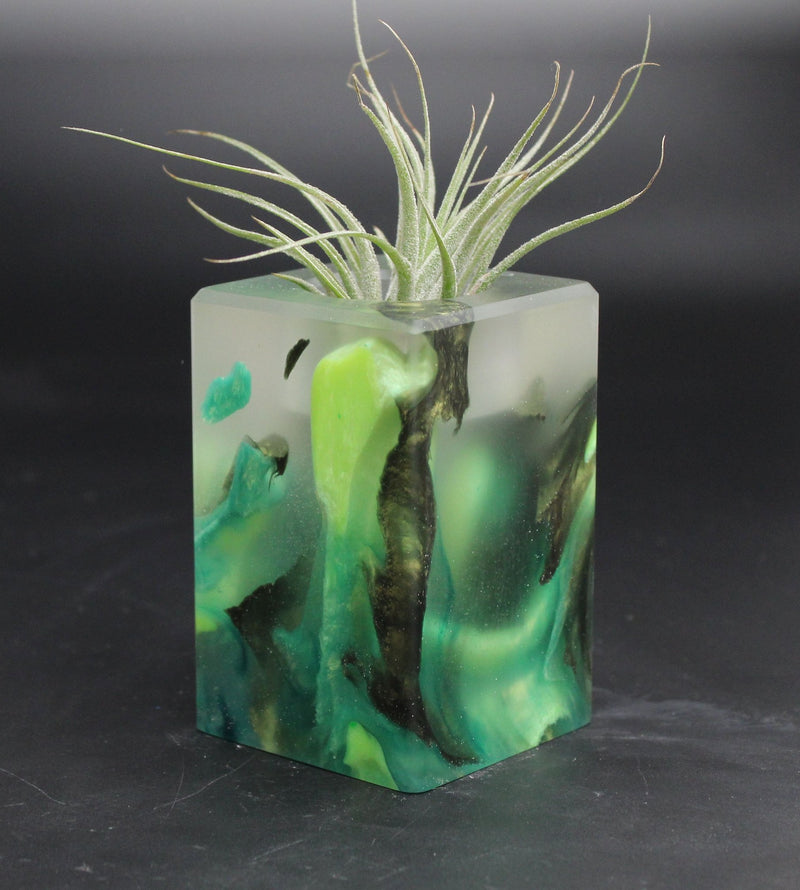 Wood Burl ResinArt Air Plant Holder - Makenna (The Lab, 707816)