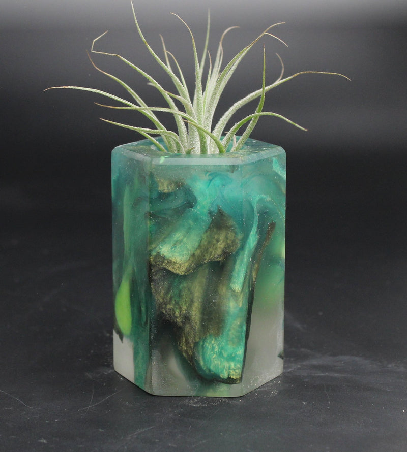 Wood Burl ResinArt Air Plant Holder - Kade (The Lab, 707817)