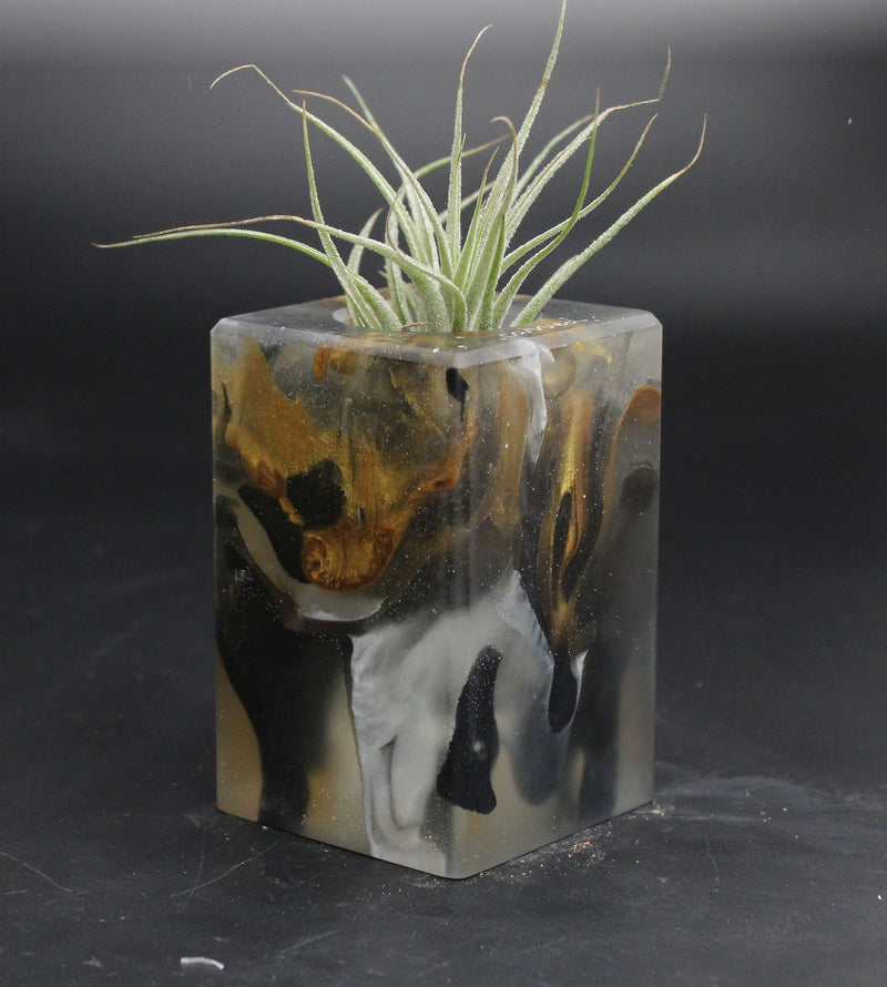 Wood Burl ResinArt Air Plant Holder - Fred (The Lab, 707818)