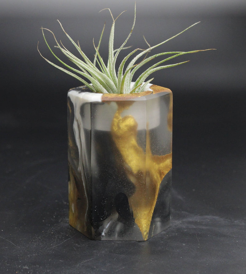 Wood Burl ResinArt Air Plant Holder - Thea (The Lab, 707820)