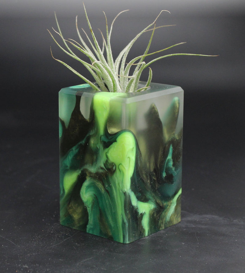 Wood Burl ResinArt Air Plant Holder - Phoebe (The Lab, 707821)