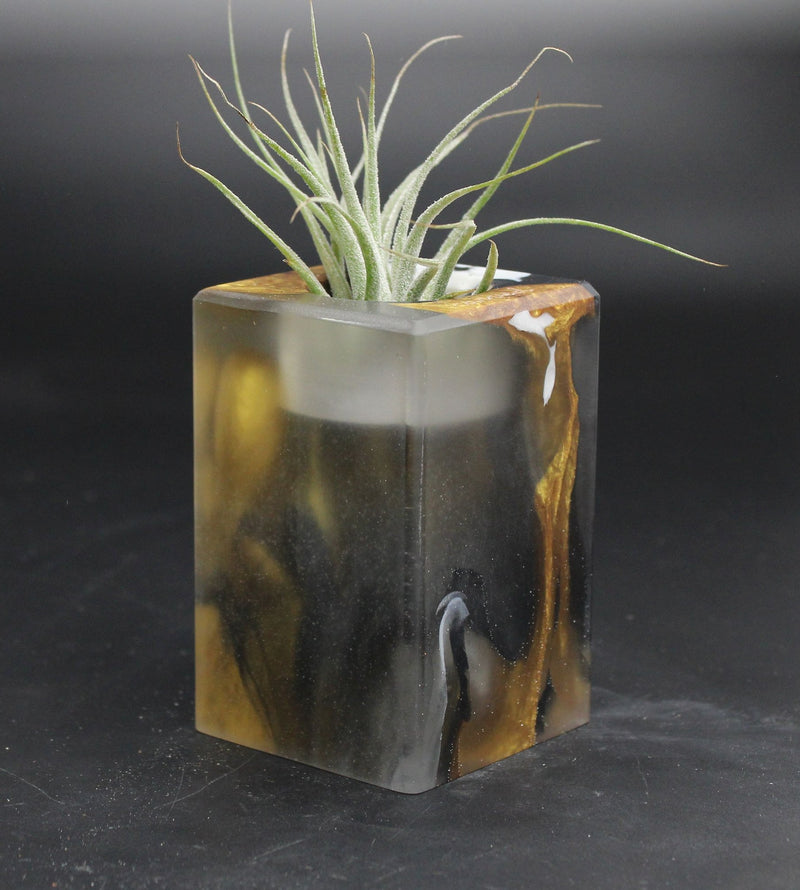 Wood Burl ResinArt Air Plant Holder - Elmer (The Lab, 707822)
