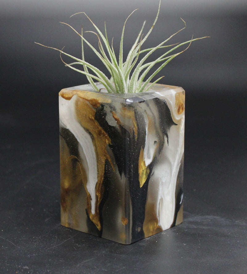 Wood Burl ResinArt Air Plant Holder - Franklin (The Lab, 707823)