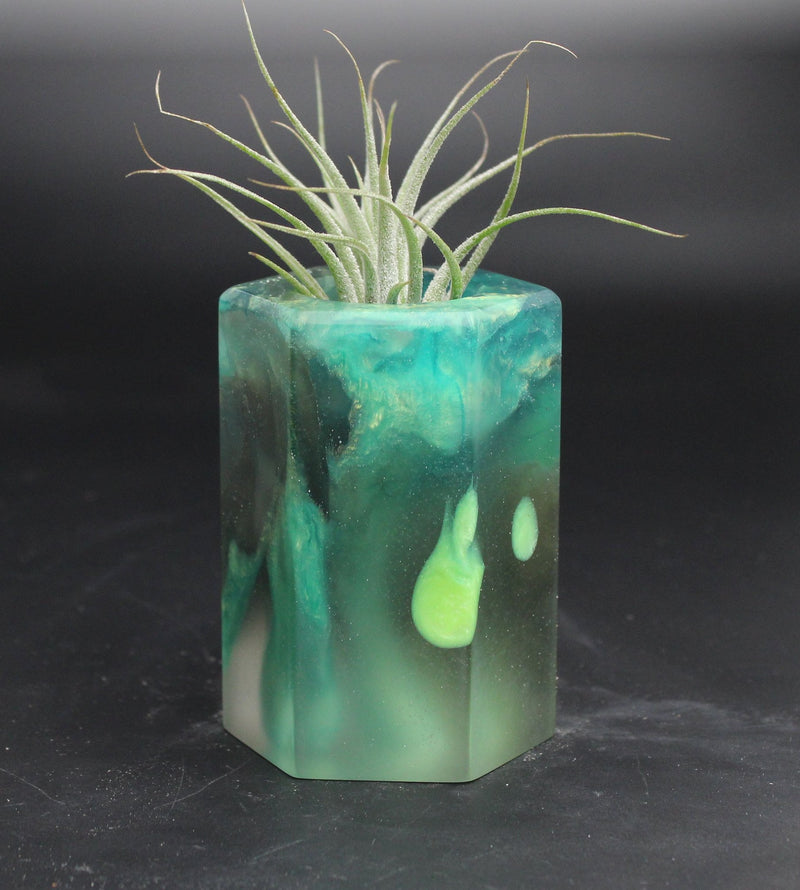 Wood Burl ResinArt Air Plant Holder - Ray (The Lab, 707824)
