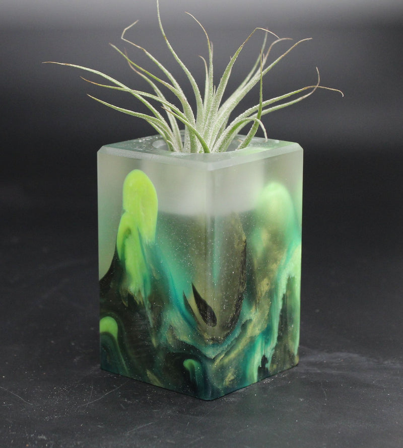 Wood Burl ResinArt Air Plant Holder - Evelyn (The Lab, 707825)