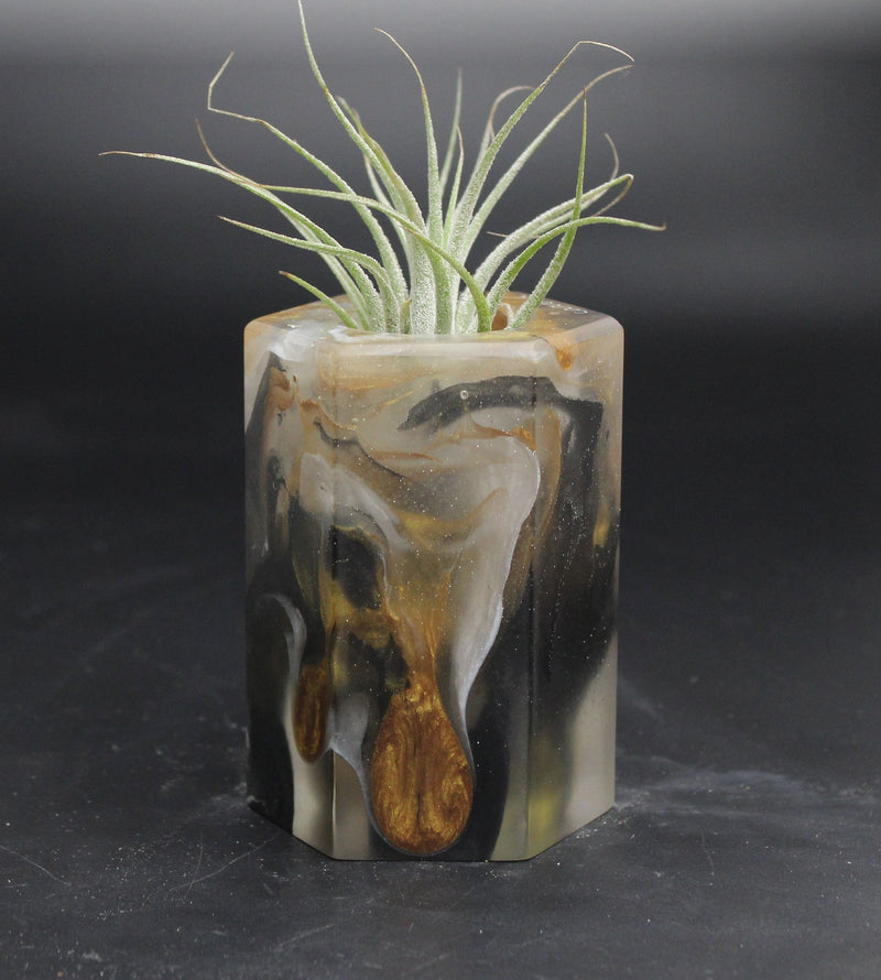 Wood Burl ResinArt Air Plant Holder - Rudolph (The Lab, 707826)