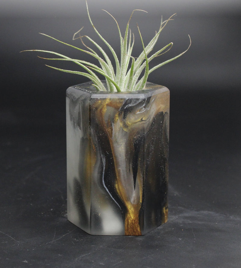 Wood Burl ResinArt Air Plant Holder - Merle (The Lab, 707827)