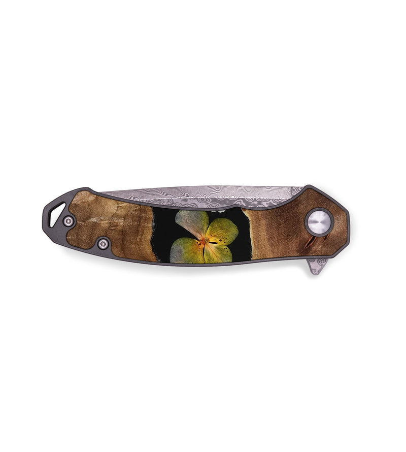 EDC Wood Pocket Knife - Gilbert (Bloom, 766324)