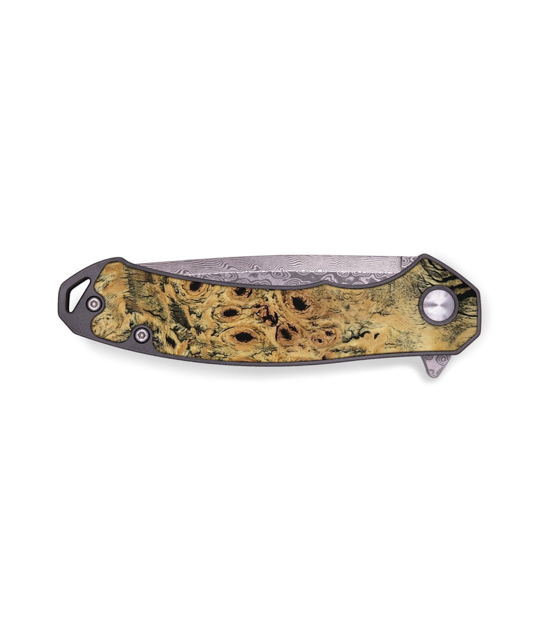 EDC Wood Pocket Knife - Brisa (Wood Burl, 791472)