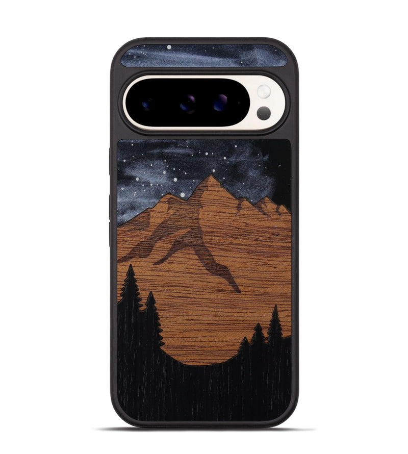 Pixel 9 Pro Wood Phone Case - Bierstadt (Terrain)