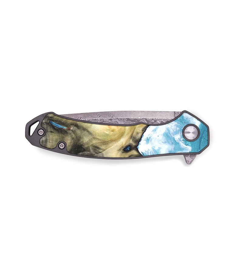 EDC Wood Pocket Knife - Kaylen (Coastal, 823478)