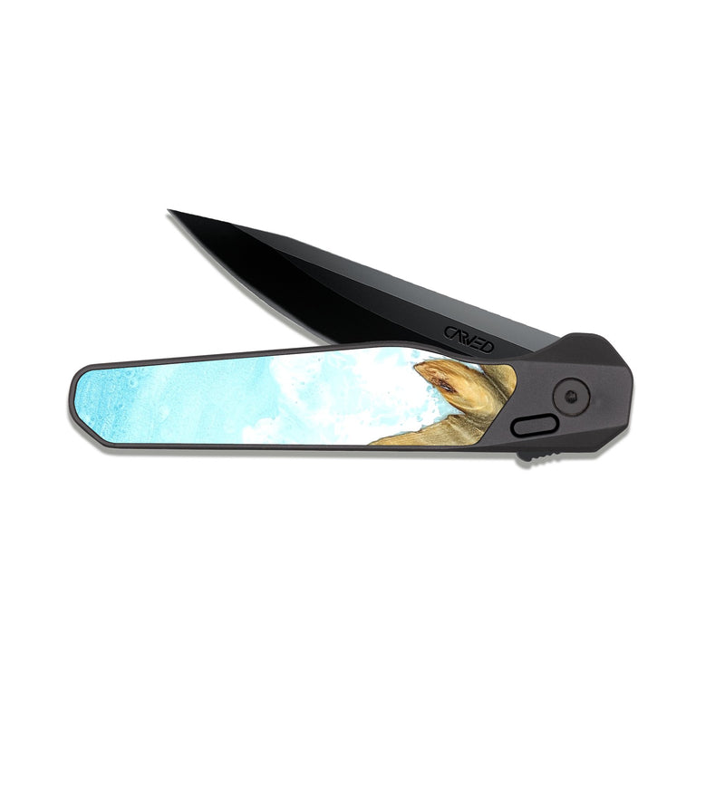 EDC Dark Slate Wood Pocket Knife - Abdiel (Coastal, 823520)