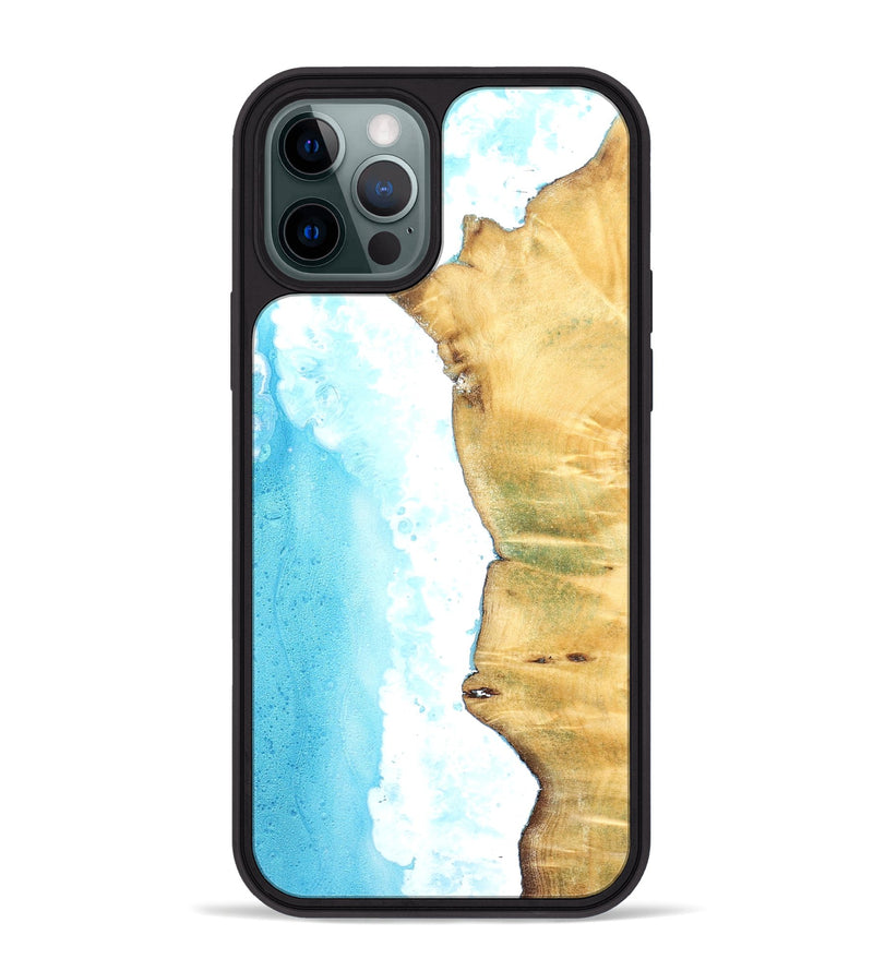iPhone 12 Pro Max Wood Phone Case - Dior (Coastal, 826576)