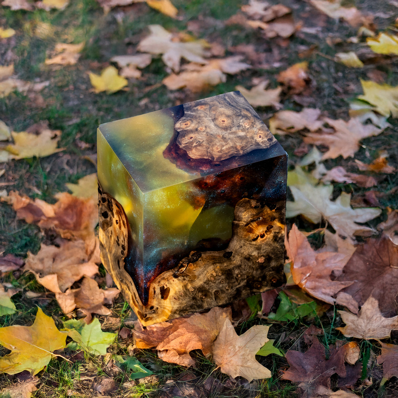 Autumn Hero Image 1