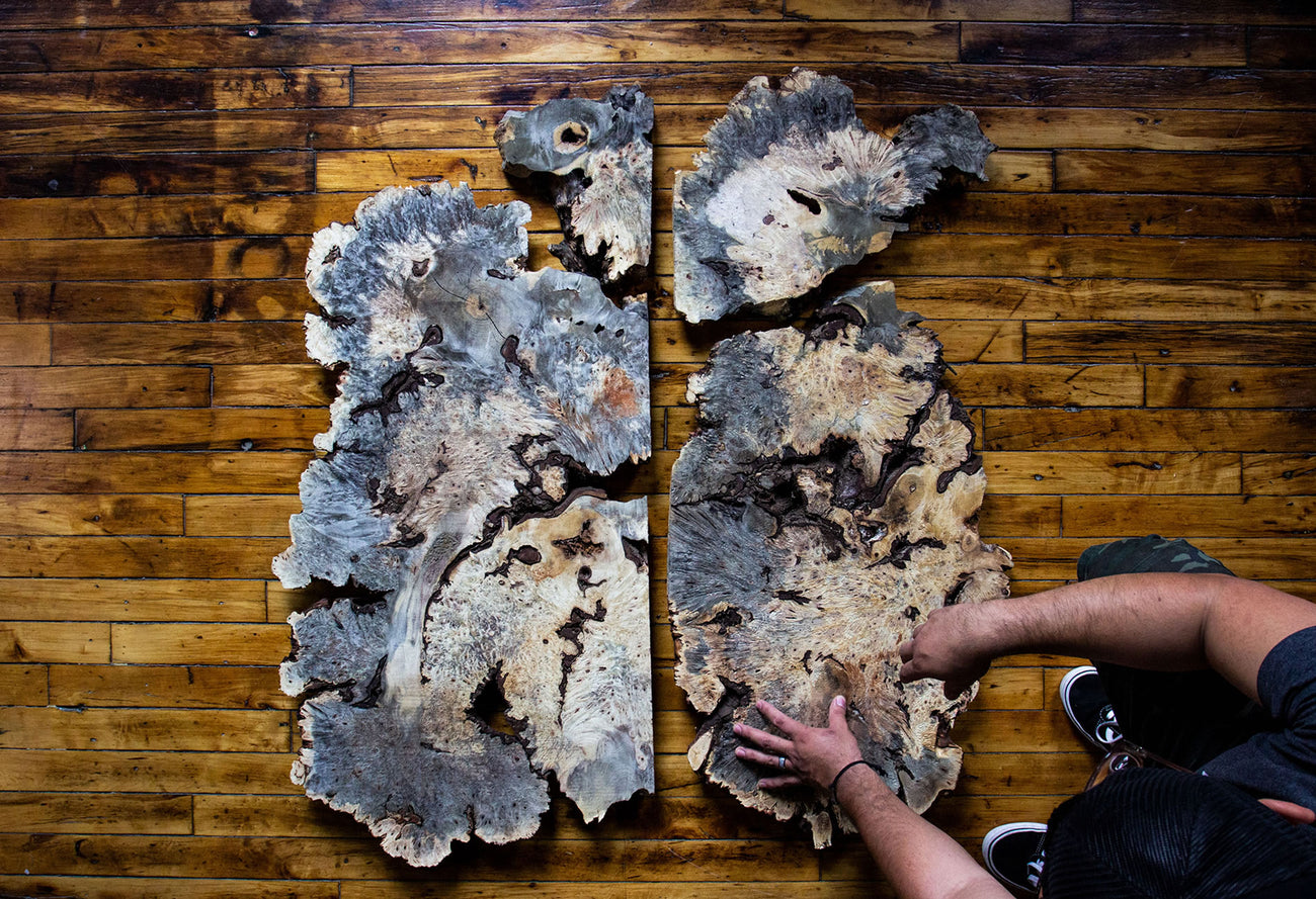 Overhead photo of buckeye burl on wood floor