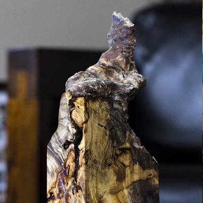 Buckeye Burl Close-up