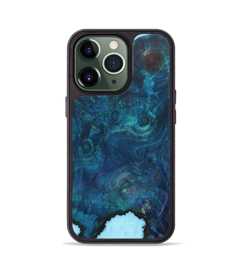 iPhone 13 Pro  Phone Case - Barry (Wood Burl, 671461)