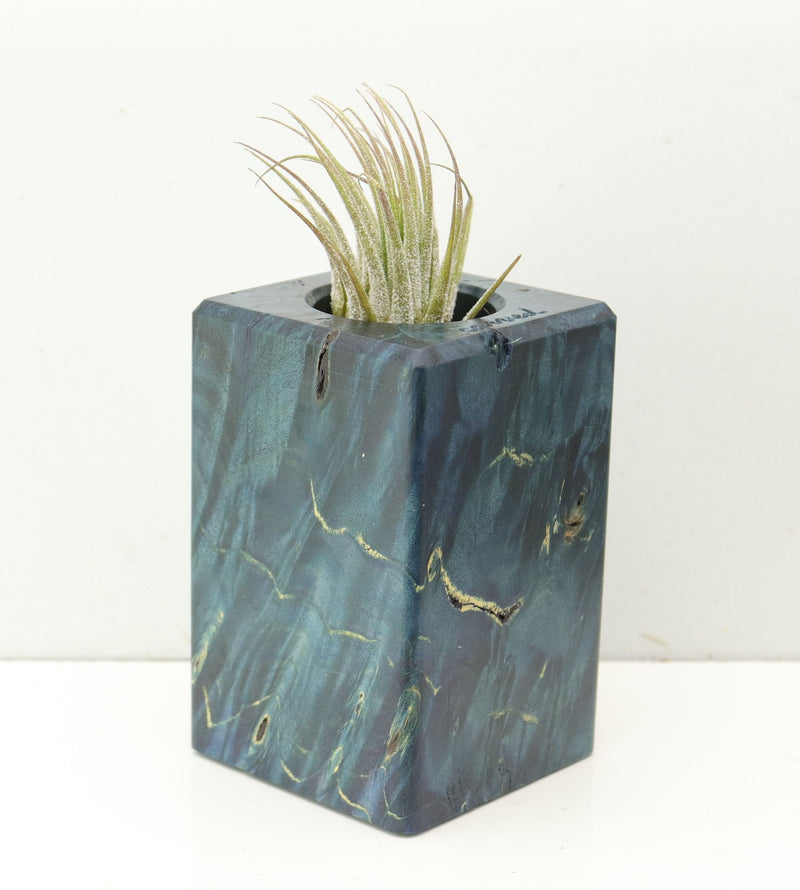 Wood Burl  Air Plant Holder - Kinsley (Wood Burl, 686376)