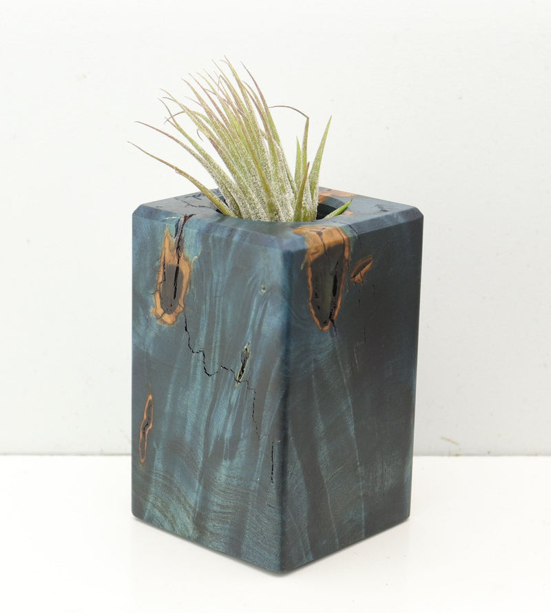 Wood Burl  Air Plant Holder - Romeo (Wood Burl, 686377)