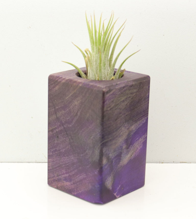 Wood Burl  Air Plant Holder - Kathleen (Wood Burl, 686763)