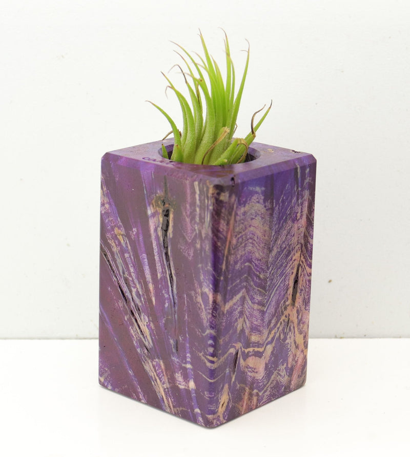 Wood Burl  Air Plant Holder - Lacey (Wood Burl, 689765)