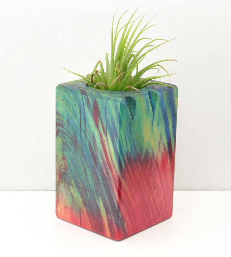 Wood Burl  Air Plant Holder - Lakisha (Wood Burl, 692595)