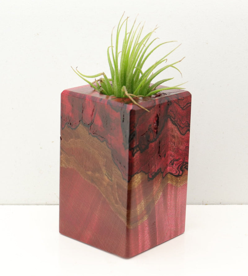 Wood Burl  Air Plant Holder - Sydney (Wood Burl, 692596)