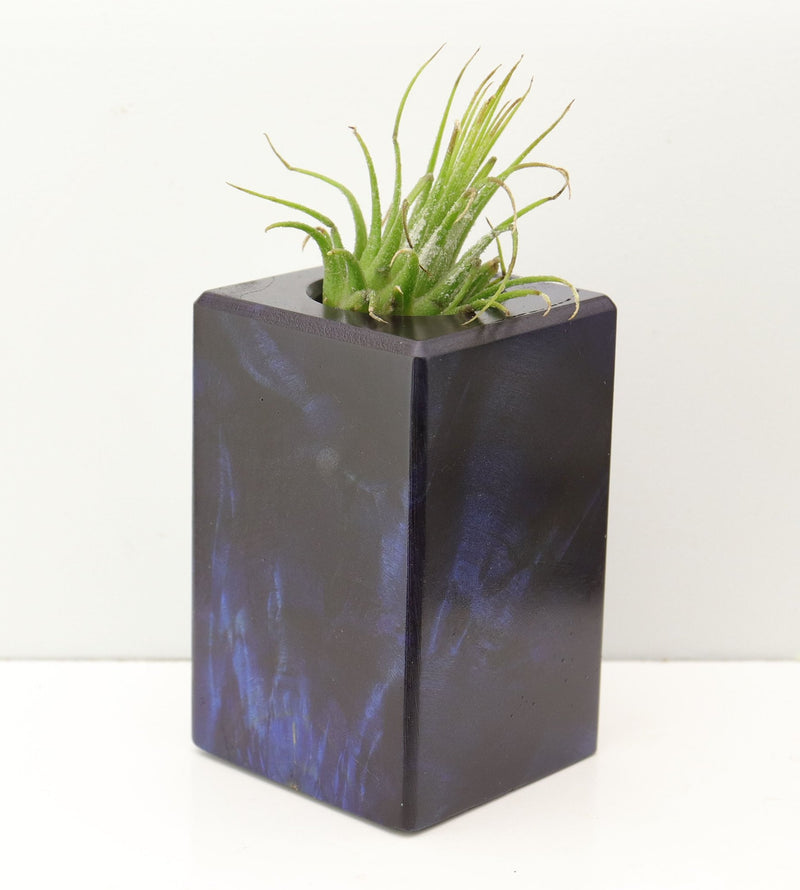 Wood Burl Wood+Resin Air Plant Holder - Xander (Fire & Ice, 693232)